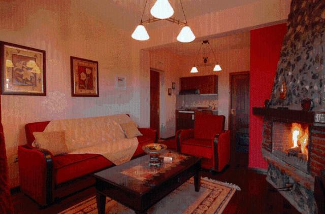 Apartament Diaselon Elatochori Zewnętrze zdjęcie